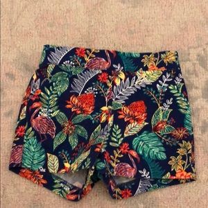Janie and jack flamingo shorts 12-18 month